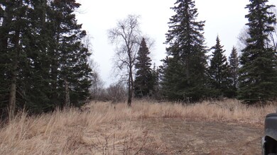 DSC01728