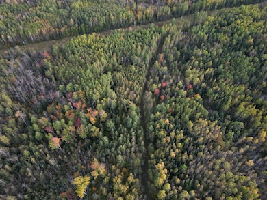 TBD U S Highway 71, Big Falls, MN 56658 - photo 6