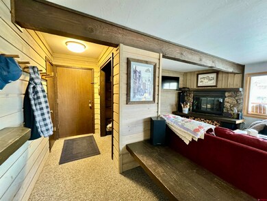 721 Gothic Rd unit L1, Crested Butte, CO 81225 - photo 2