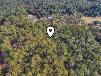 7 Santee Landing Rd, Georgetown, SC 29440 - photo 6