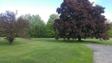 Gorgeous level back yard. Mill...