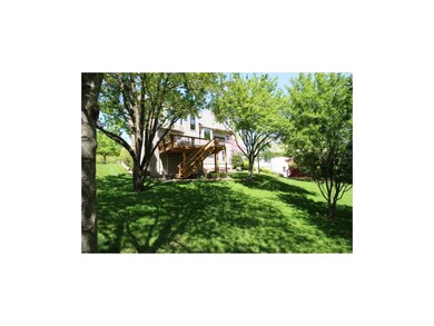 Large Backyard Beautifully Landscaped