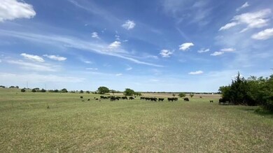 2550 County Road 904, Joshua, TX 76058 - photo 5