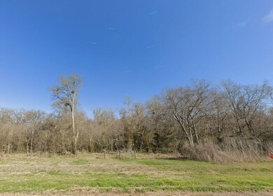 County Rd, Navasota, TX 77868 - photo 6