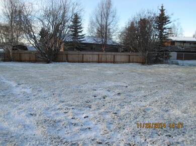 Large Yard