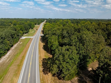 0 Hwy 167 N, Cave City, AR 72521 - photo 3