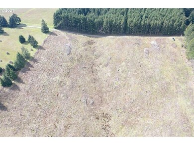 0 Red Hawk Ln unit 3 21170025, Sheridan, OR 97378 - photo 6