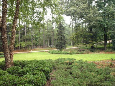 View from Front Porch to Thomas St.