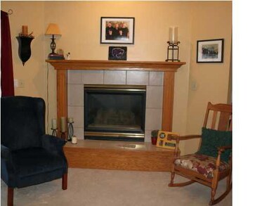 GAS FIREPLACE
