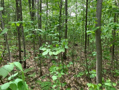 Lot 8 Somo Ridge Dr, Tomahawk, WI 54487 - photo 3
