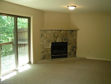 Wood Burning Fireplace