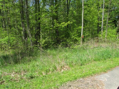 17298 River Bluff Dr, New Buffalo Township, MI 49129 - photo 2