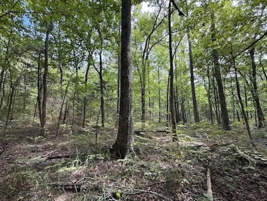 Tract 3 4 unit Terrapin Road, Harrison, AR 72601 - photo 3