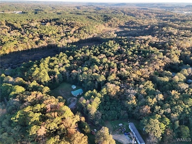 0 Pleasant Way, Jasper, AL 35501 - photo 6