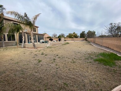 Backyard 3
