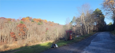 0 Reed Rd, Ringgold Township, PA 16240 - photo 3