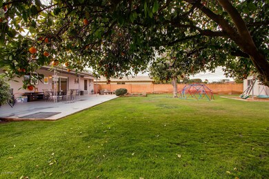 Park-like backyard