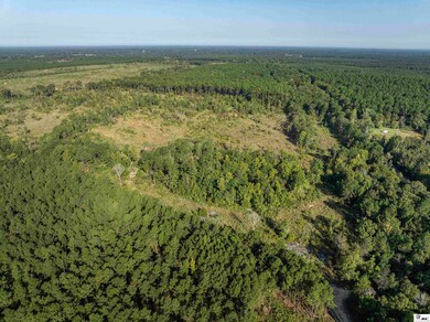 000 Highway 143, Linville, LA 71206 - photo 6