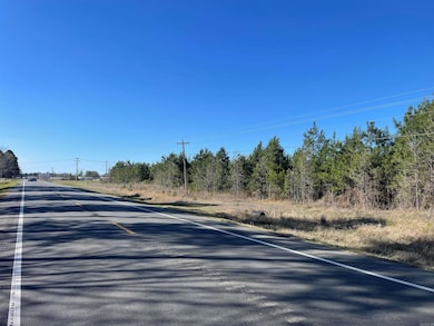 Lots Jonquil, East Camden, AR 71701 - photo 6