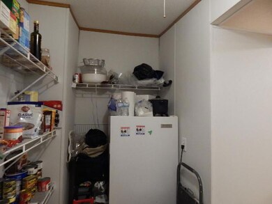 Freezer in pantry also remains. There are a lot of shelves for canned goods and misc.