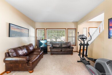 16382 Maple Rock Ct, Parker, CO 80134 - photo 5