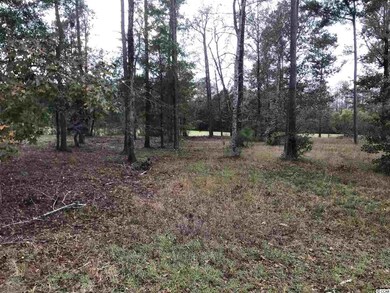 121 Bantry Ln, Conway, SC 29526 - photo 2