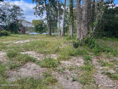 2321-B Chinquapin Rd, New Bern, NC 28562 - photo 6