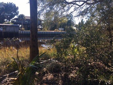 XX Mill Creek Rd, Crawfordville, FL 32327 - photo 2