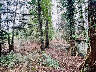 1394 Rex St, Point Roberts, WA 98281 - photo 3