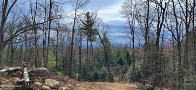 L3 Clendon Brook Rd unit ADIRONDACK PK, Queensbury, NY 12804 - photo 3