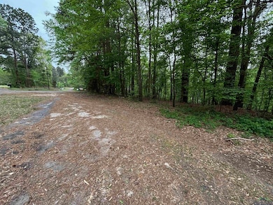 View of road featuring a forest view