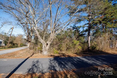 7 Wilson Ave, Great Falls, SC 29055 - photo 5