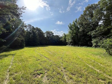 0 Hudspeth Rd, Hickory Flat, MS 38633 - photo 6