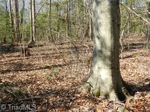 00 Nc Highway 134, Asheboro, NC 27205 - photo 2