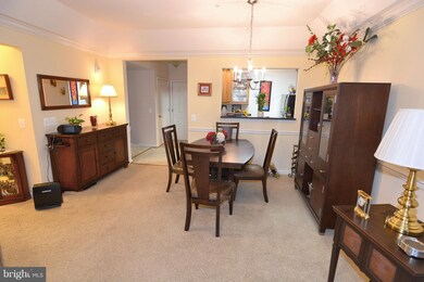 8611 Wintergreen Ct unit 405, Odenton, MD 21113 - photo 6