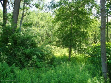 0 Gardner Rd unit GSB131166, Roaring Brook Township, PA 18444 - photo 5