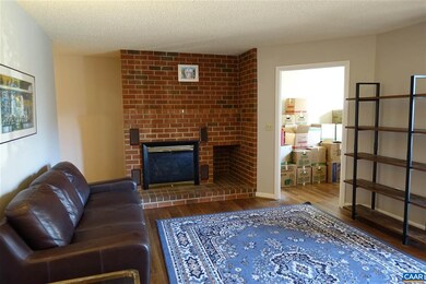 101 Turtle Creek Rd unit 3, Charlottesville, VA 22901 - photo 3
