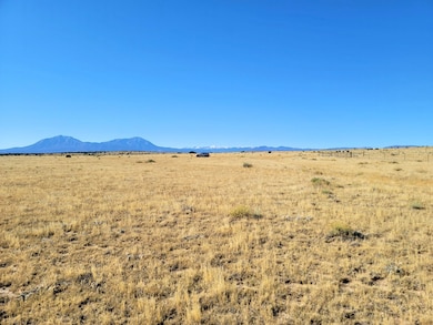 0 La Deora Blvd unit 25570437, Walsenburg, CO 81089 - photo 7