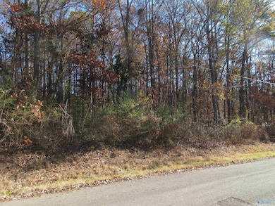 27 Sumner Dr, Scottsboro, AL 35769 - photo 4