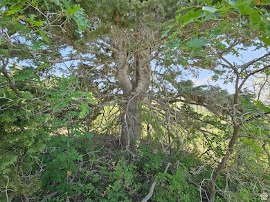 844 E Edgewood Dr unit 844, Fairview, UT 84629 - photo 6