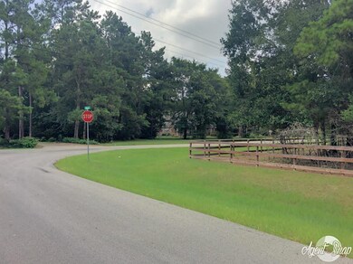 0 Pelican St unit 46315191, Magnolia, TX 77355 - photo 4