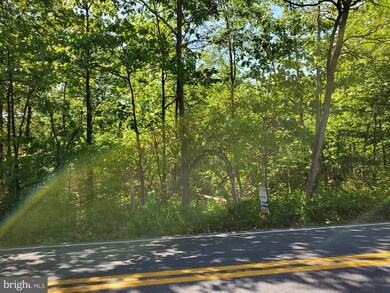 17.08 Acres Apple Harvest Dr, Glengary, WV 25421 - photo 5