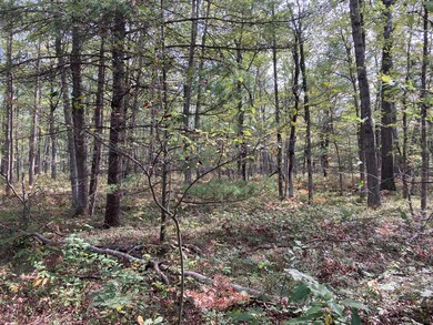 PAR 2 Cleveland Dr W, Lilley Township, MI 49309 - photo 3