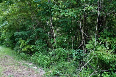 Lot 5 River Plantation Rd, Crawfordville, FL 32327 - photo 4