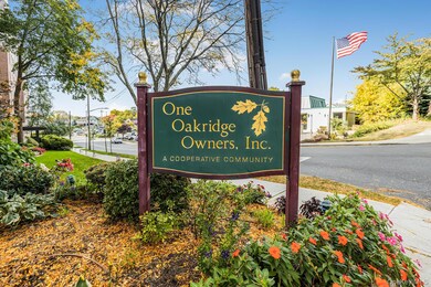 One Oakridge Owners Inc unit 6A, Eastchester, NY 10709 - photo 2