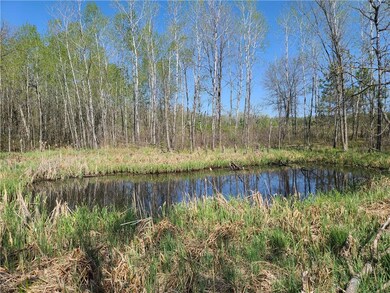 Lot 3 Ashtons Way, Webster, WI 54893 - photo 4