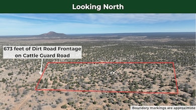 5823 N Cattle Guard Rd, Williams, AZ 86046 - photo 2