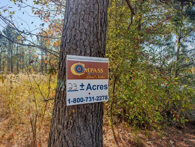 0 Sanderlin Rd unit 25637126, Wilmar, AR 71675 - photo 2