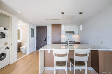 The Farrington unit 11-G, Flushing, NY 11354 - photo 7