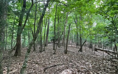 Additional View
